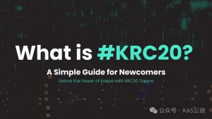Kaspa的智能合约 “ KRC20 ” 新人指南-币圈